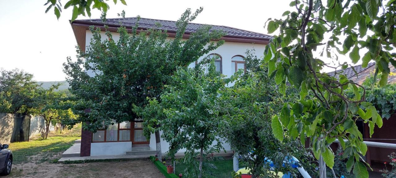 Niculitel Agropensiunea Olteanu מראה חיצוני תמונה